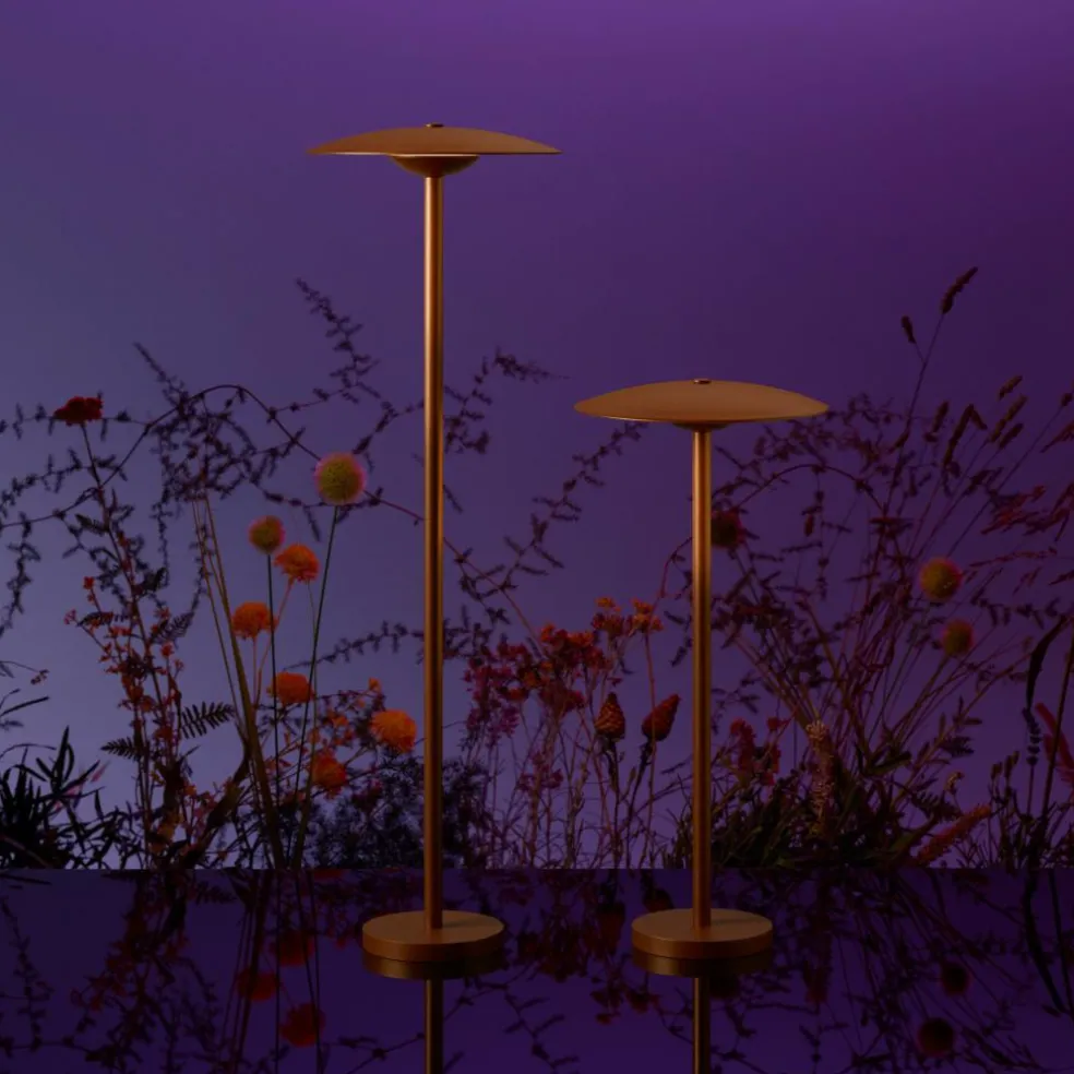 Ginger B 20/63 LED Pollerleuchte