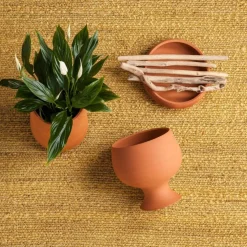 Herb Teppich 170x240cm