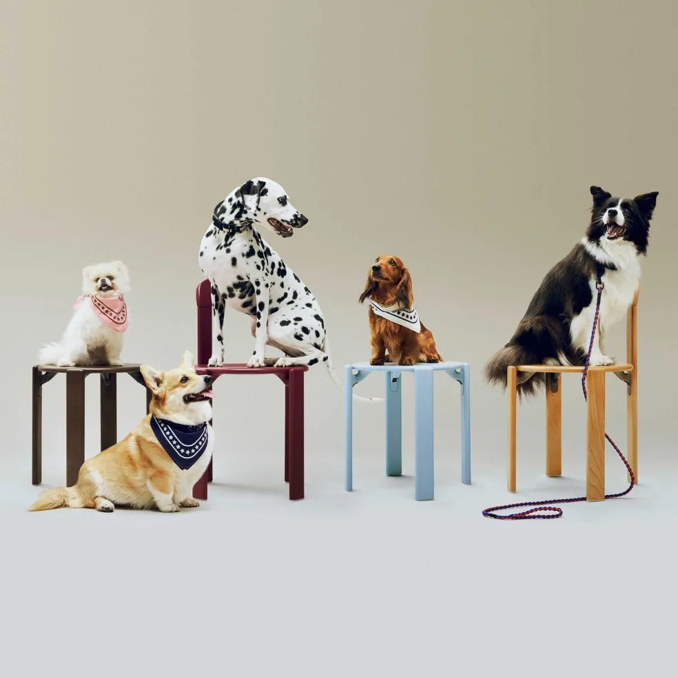 Hundehalstuch recycelt 55x55cm