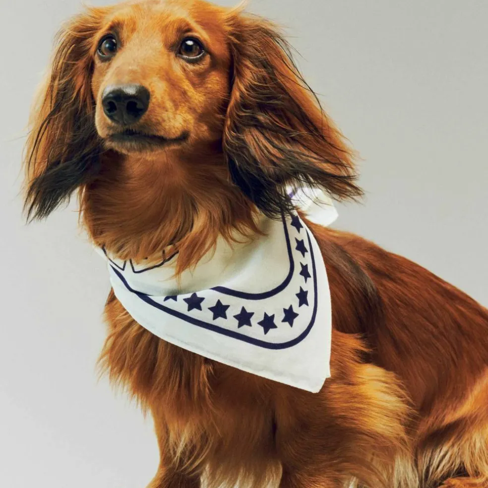 Hundehalstuch recycelt 55x55cm