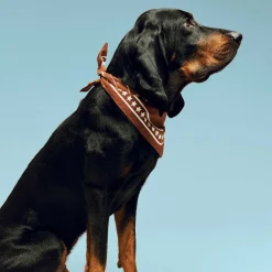 Hundehalstuch recycelt 55x55cm