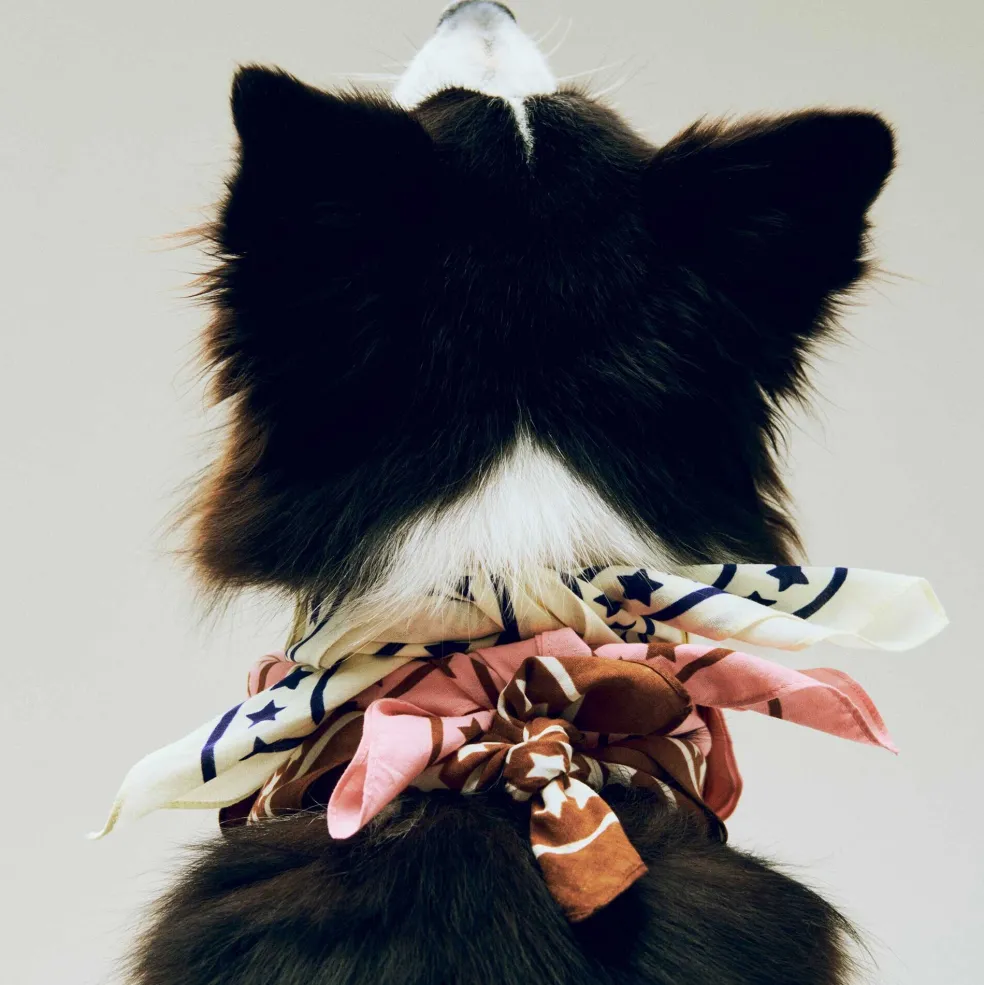 Hundehalstuch recycelt 55x55cm