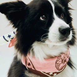 Hundehalstuch recycelt 55x55cm