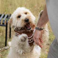 Hundehalstuch 55x55cm