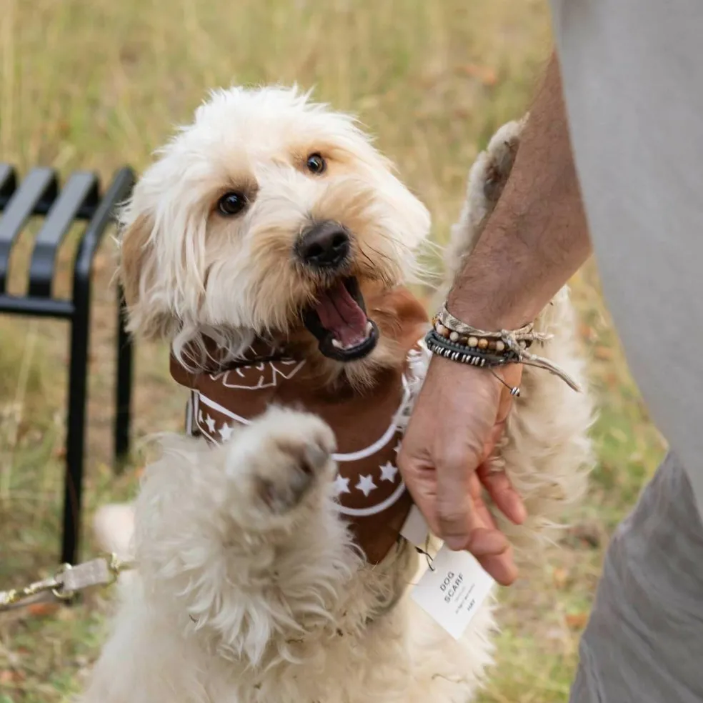 Hundehalstuch 55x55cm