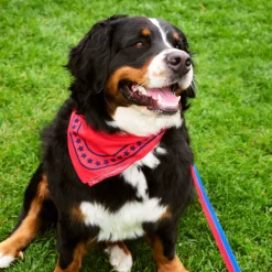Hundehalstuch 55x55cm