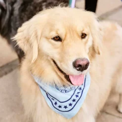 Hundehalstuch 55x55cm