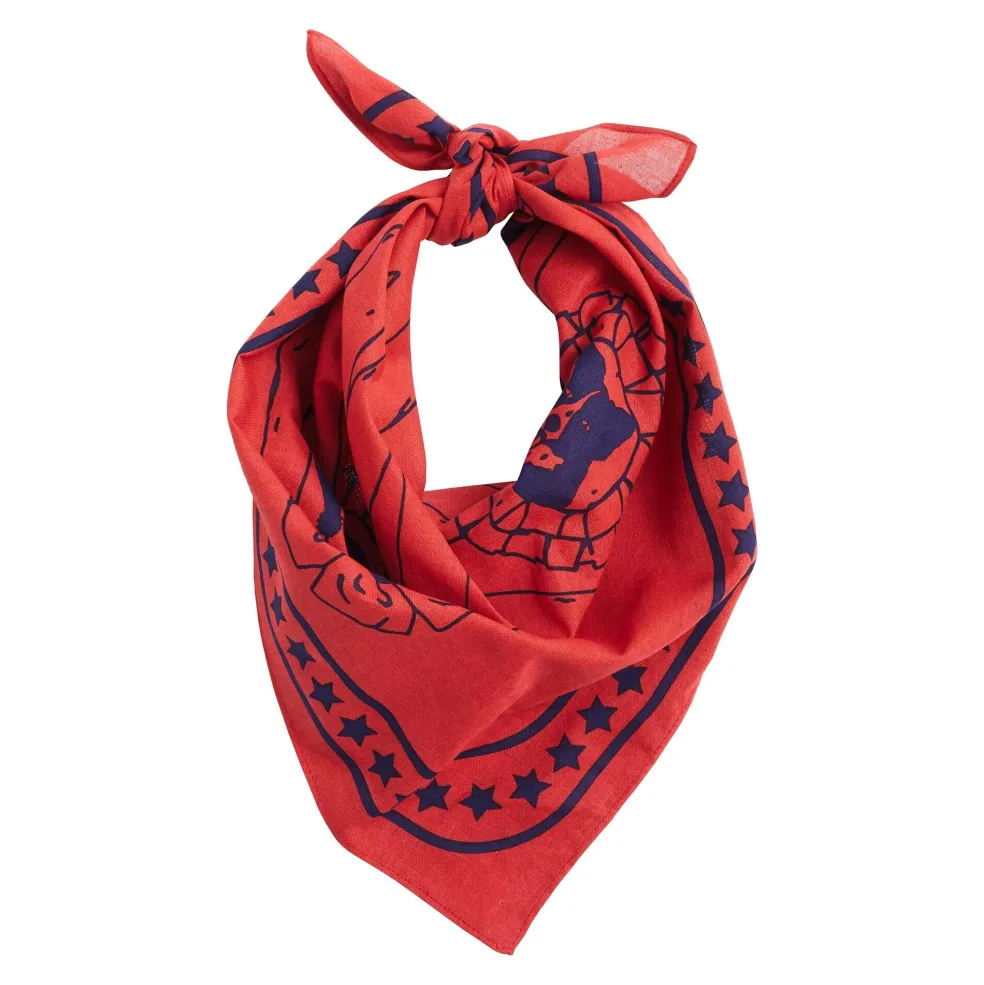 Hundehalstuch 55x55cm