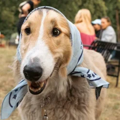 Hundehalstuch 55x55cm