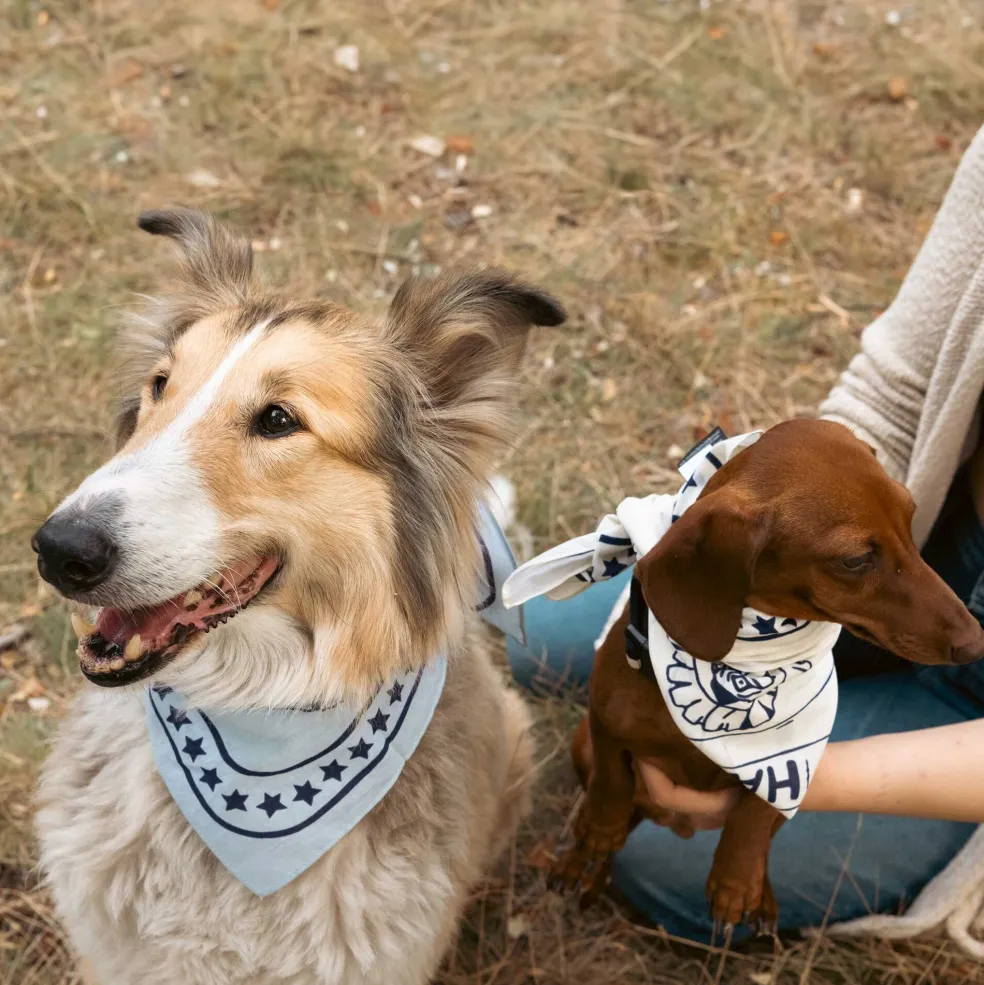 Hundehalstuch 55x55cm