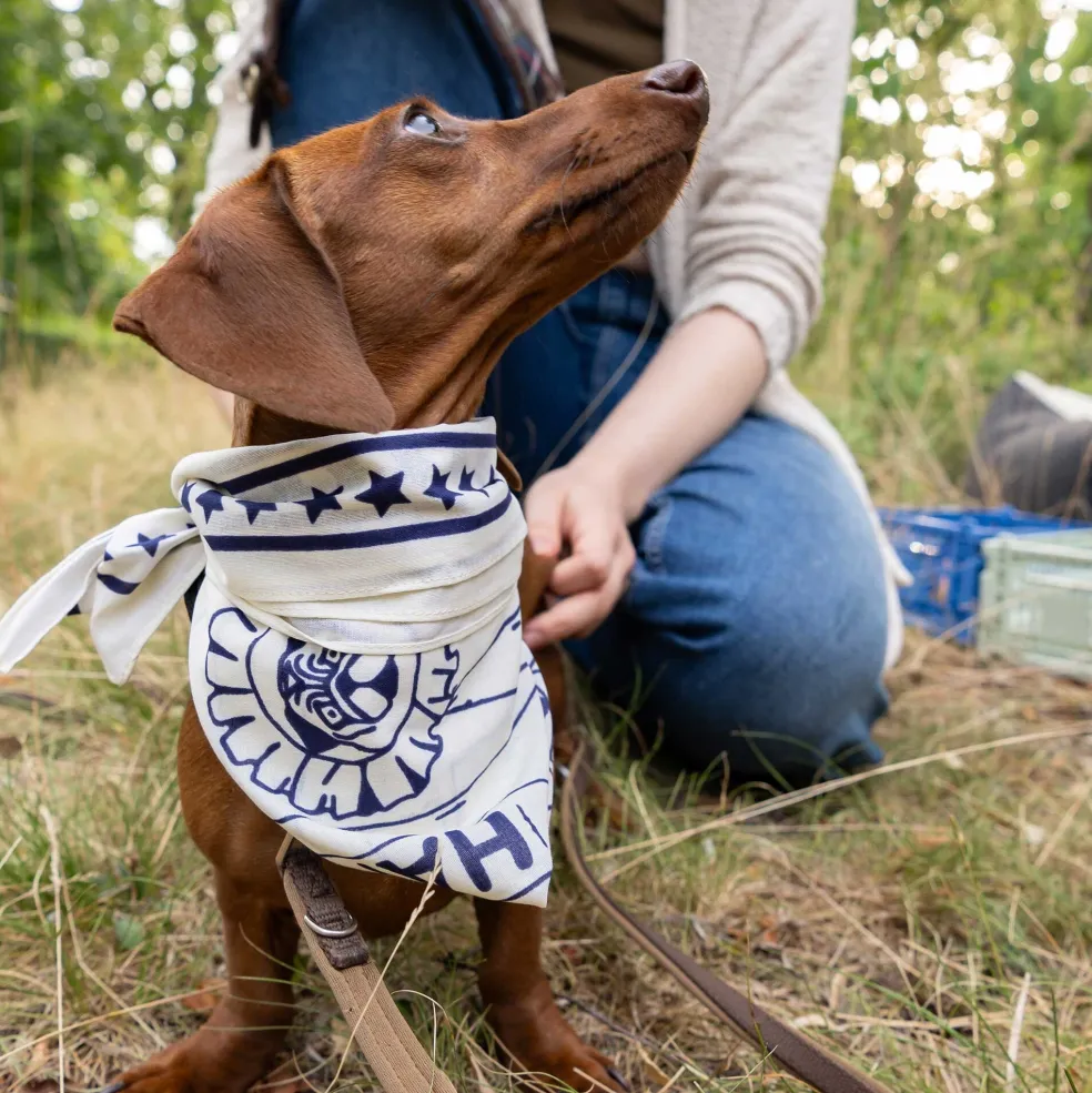Hundehalstuch 55x55cm