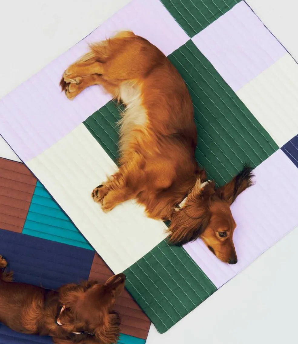 Hundereisedecke 80x80cm