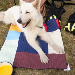 Hundereisedecke 80x80cm