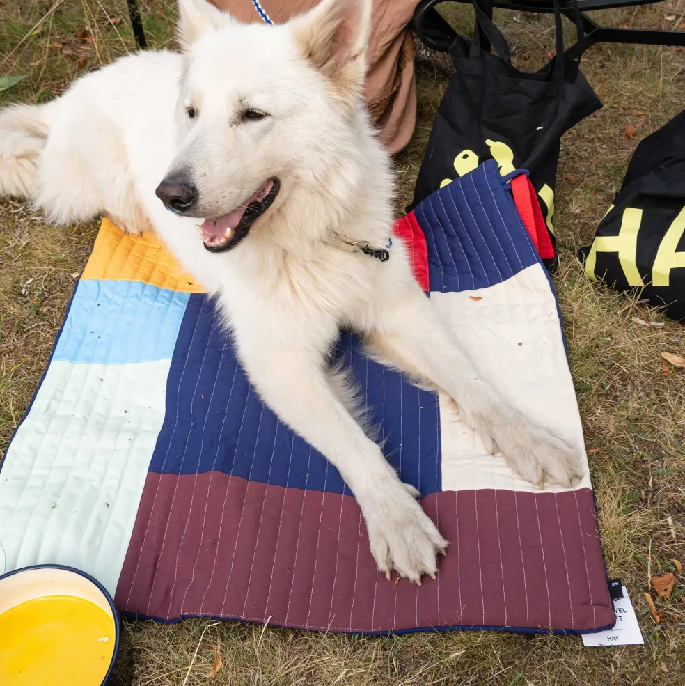 Hundereisedecke 80x80cm