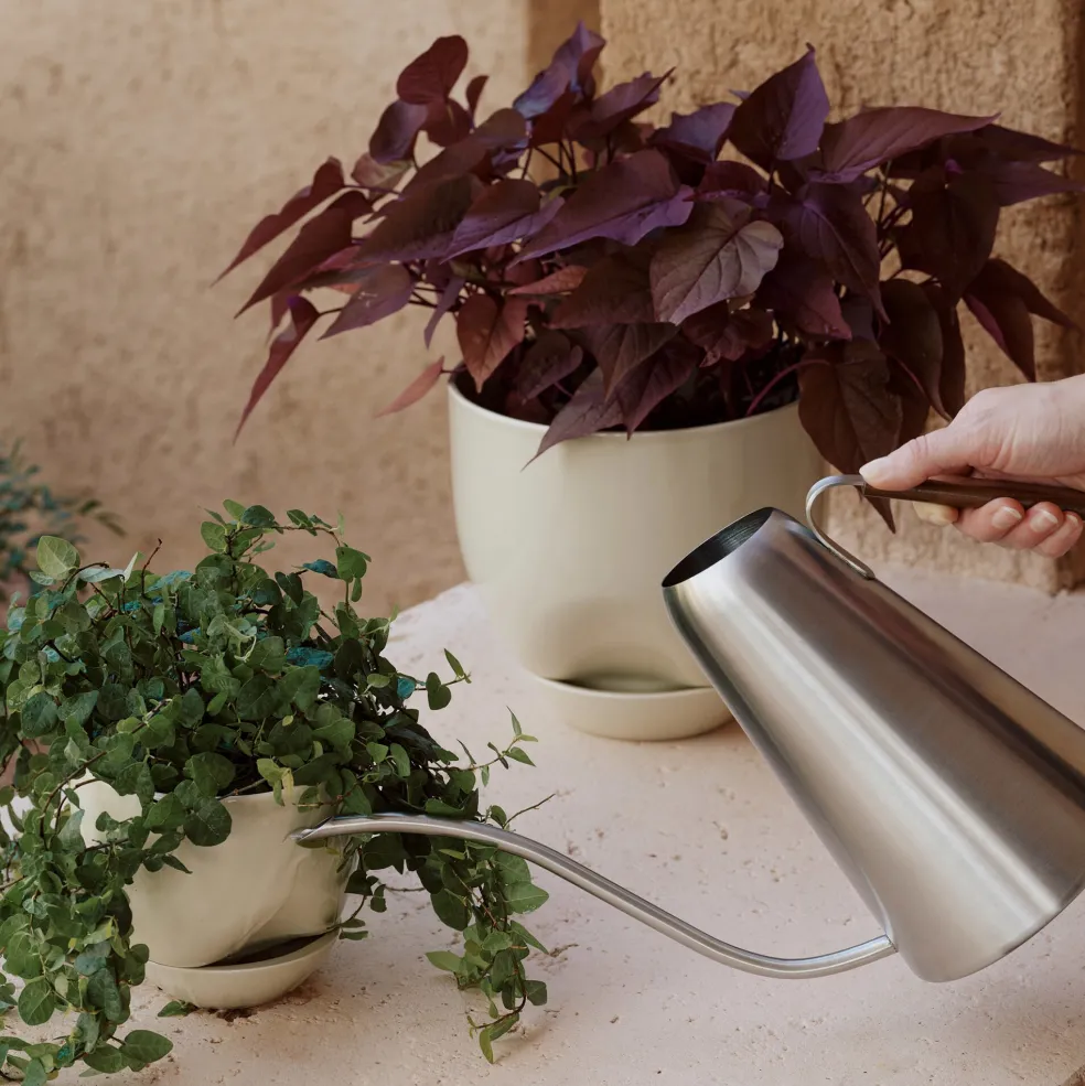 Hydrous Pflanztopf Ø 20cm