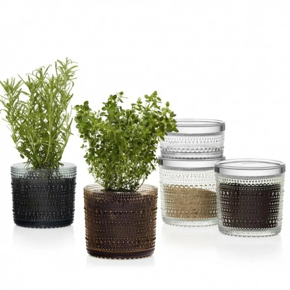 Kastehelmi Vorratsglas H 11,6cm