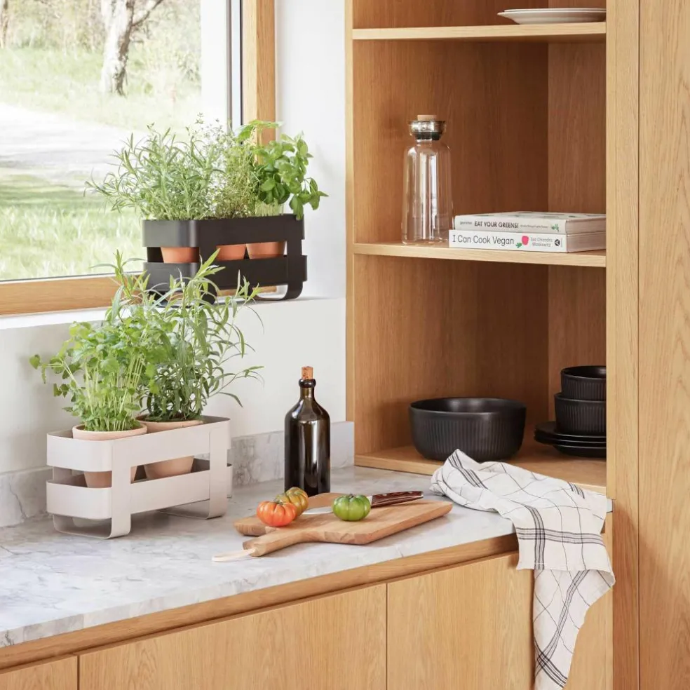 Kräutertopf mit Selbstbewässerung