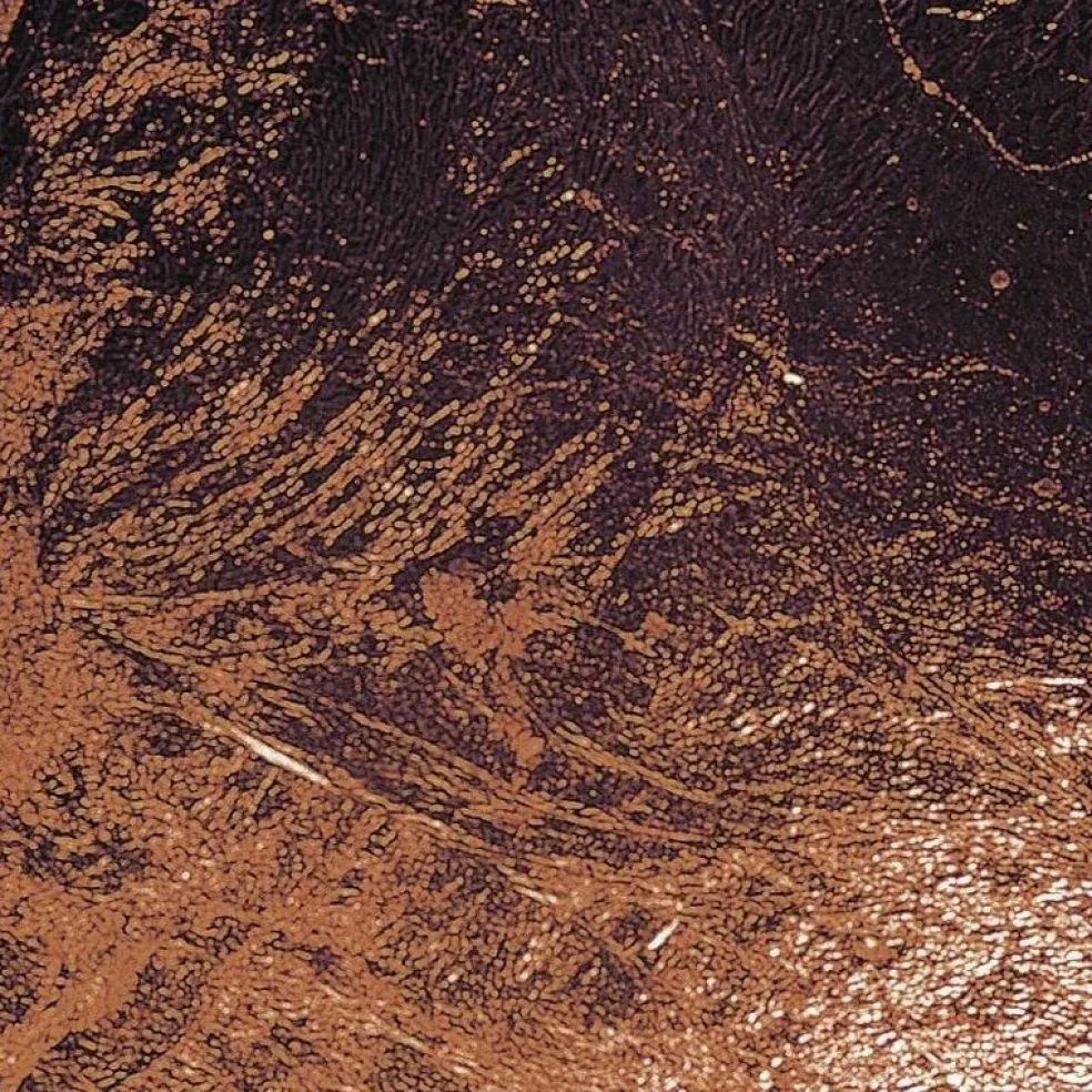 Lederam F2 LED Stehleuchte