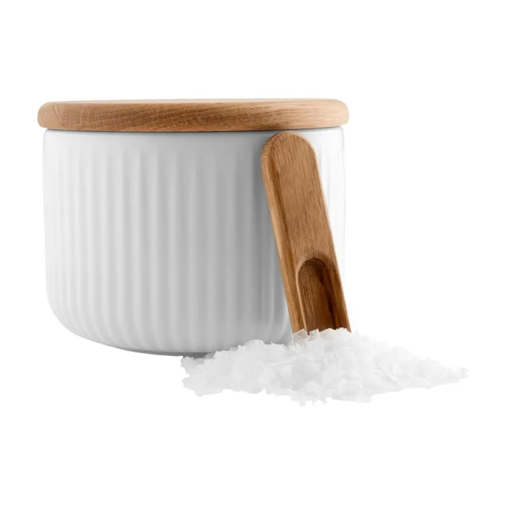 Legio Nova Salzdose mit Deckel