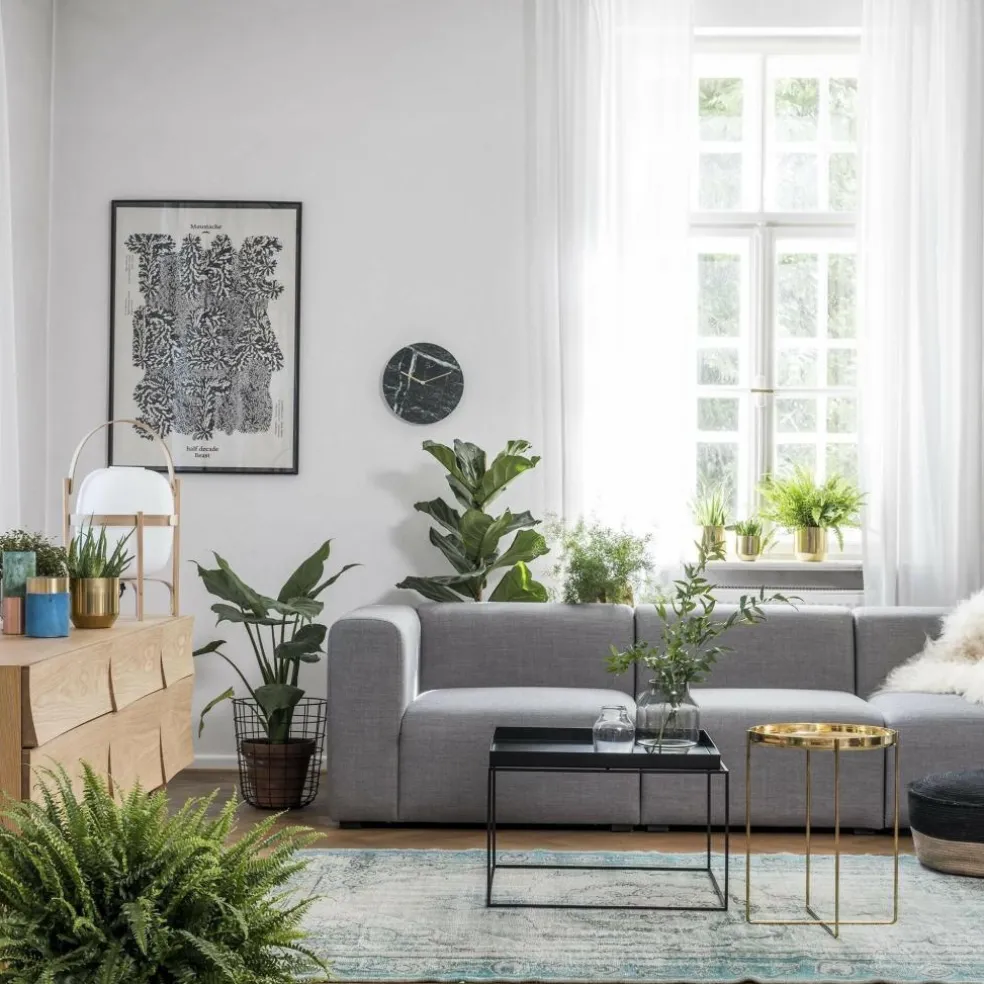 Mags 3-Sitzer Sofa 268,5x95,5x67cm