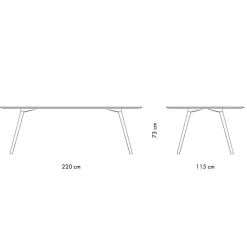 Meyer Oval Esstisch 220x115x73cm