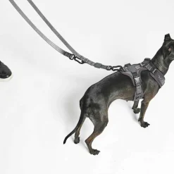 Modena Hundeleine 25mm