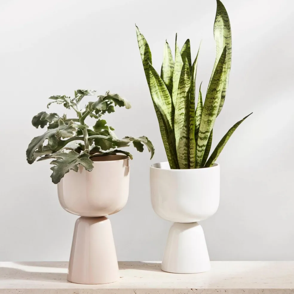 Nappula Blumentopf 230x155mm