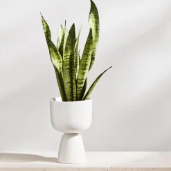 Nappula Blumentopf 230x155mm