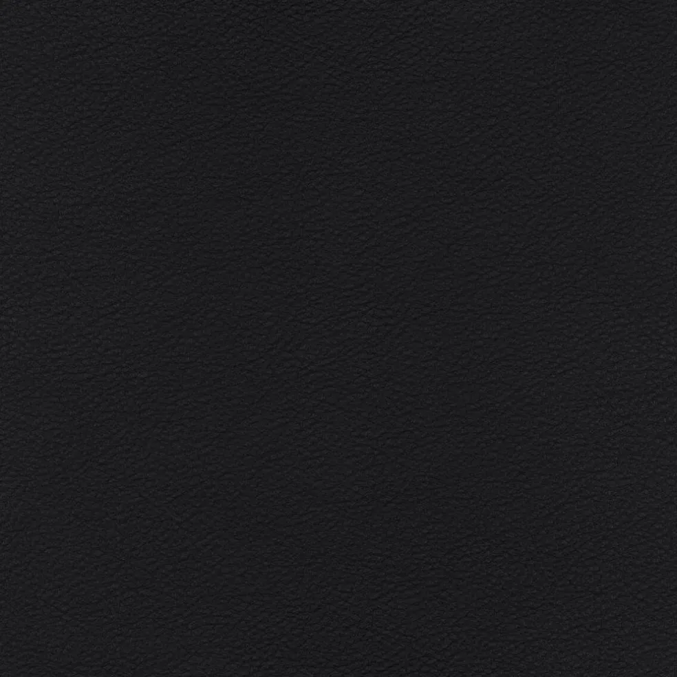 P22 Patrick Norguet Ohrensessel