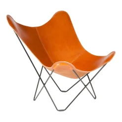 Pampa Mariposa Butterfly Chair