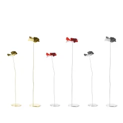 Papavero Delicato Mohnblume Tischdekoration