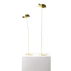 Papavero Delicato Mohnblume Tischdekoration