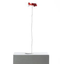 Papavero Delicato Mohnblume Tischdekoration