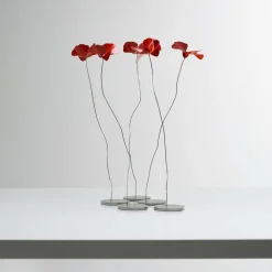 Papavero Delicato Mohnblume Tischdekoration