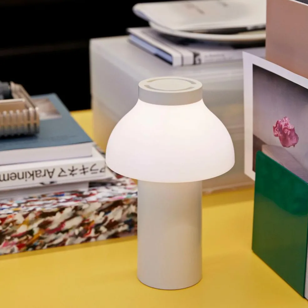 PC Portable Akkuleuchte