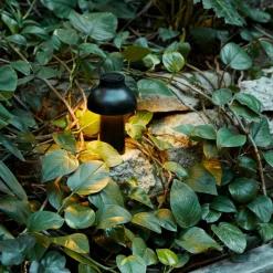 PC Portable Akkuleuchte