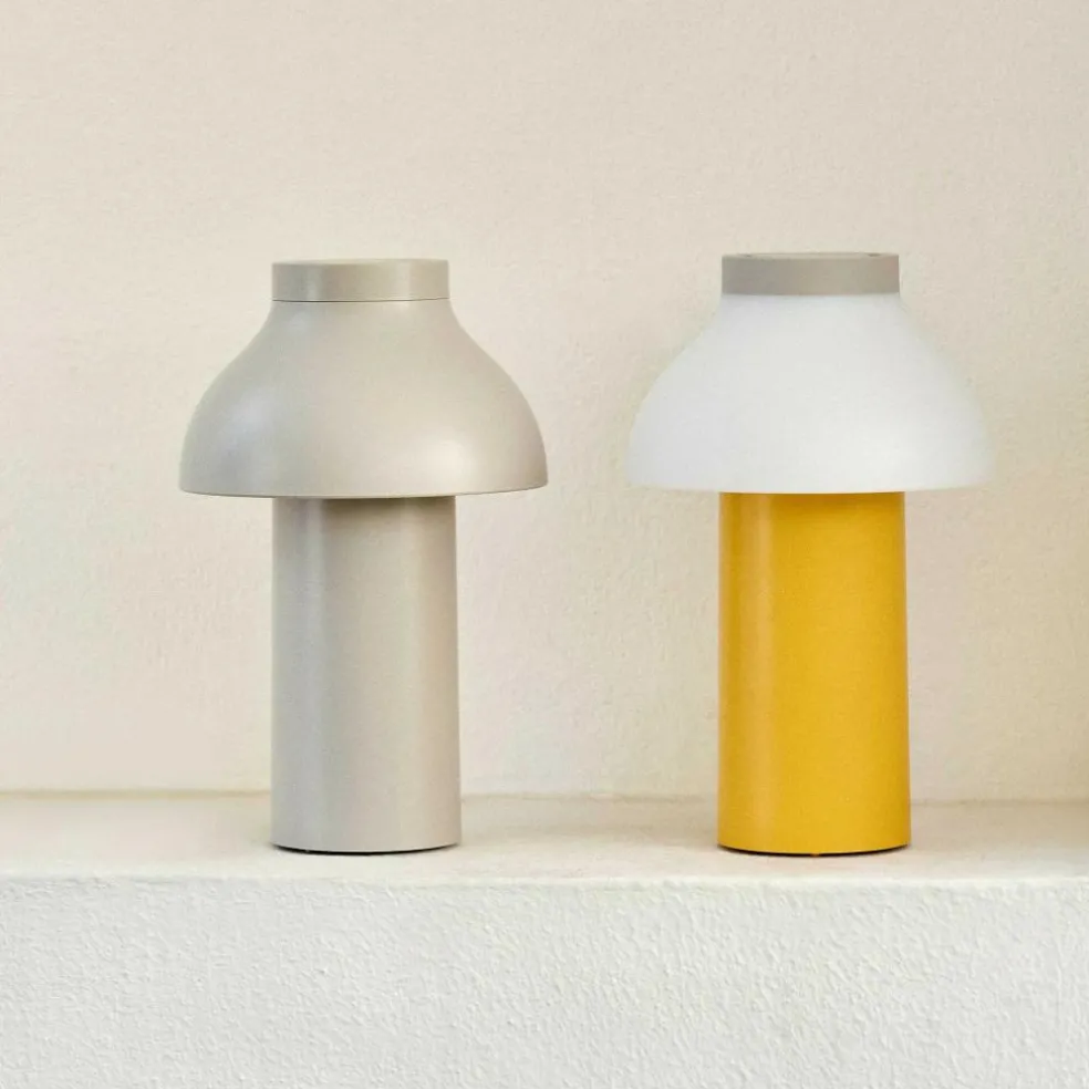 PC Portable Akkuleuchte