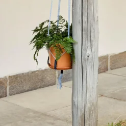 Phanta Pflanzenaufhänger