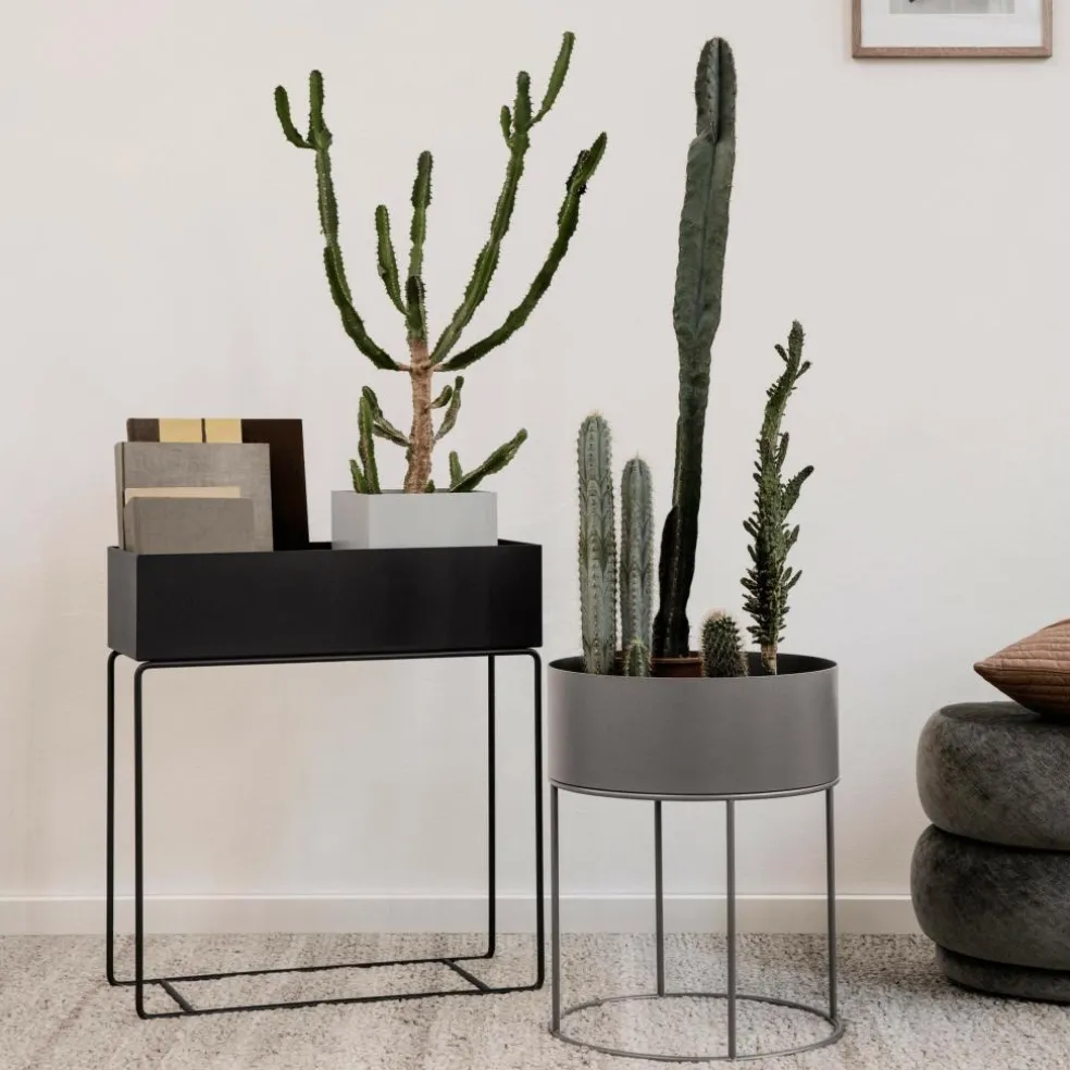 Plant Box rund