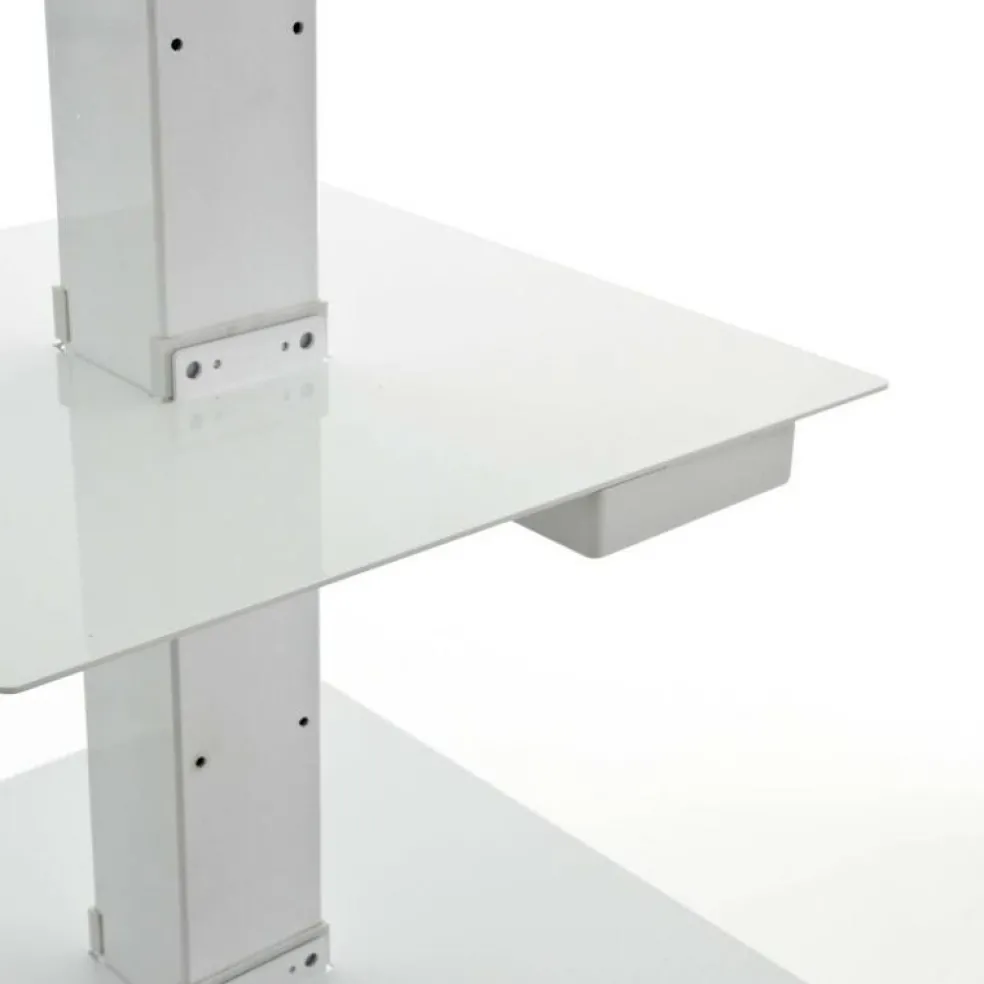 Ptolomeo X4 B Büchersäule