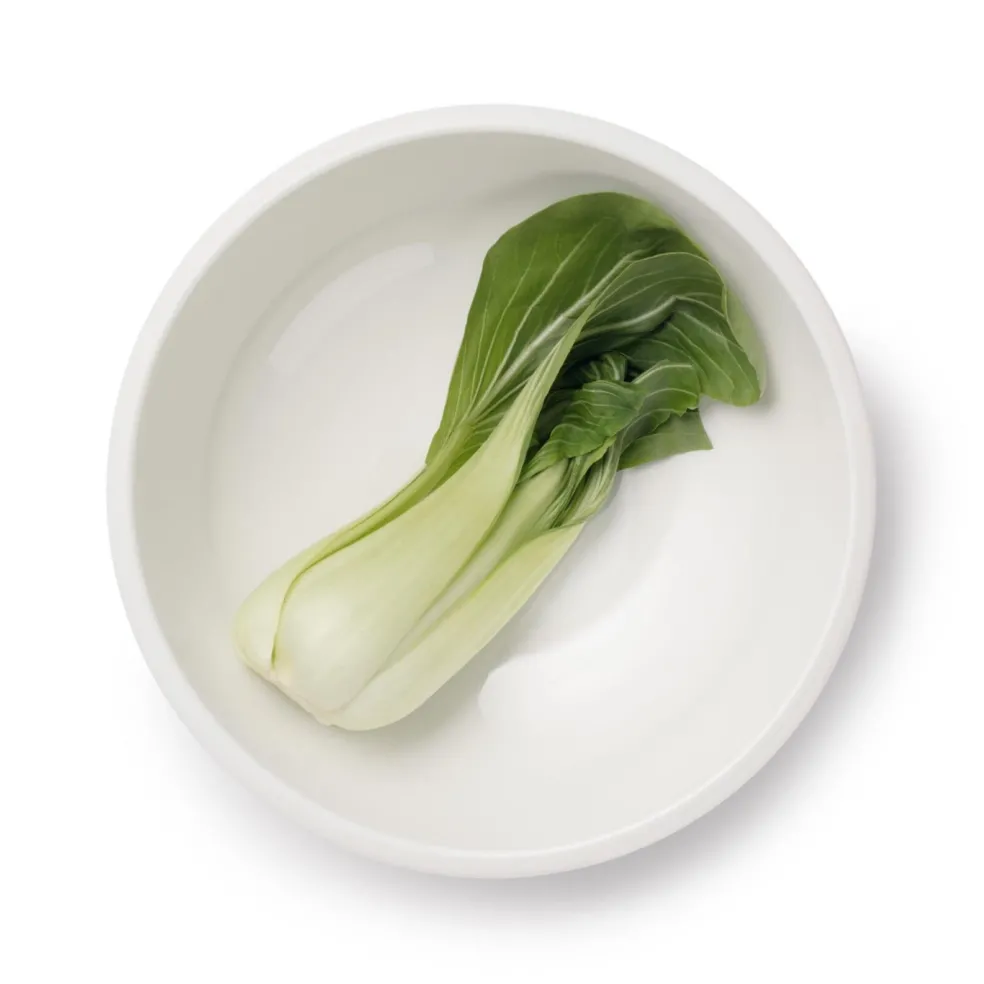 Raami Servierschale 3,4l