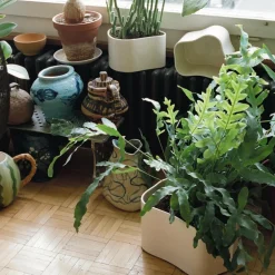 Riihitie A Pflanzgefäß S