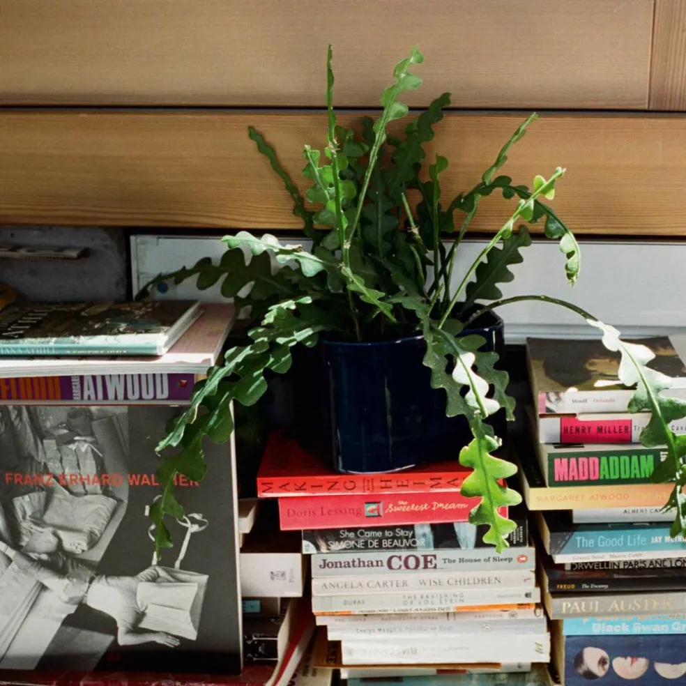 Riihitie B Pflanzgefäß S