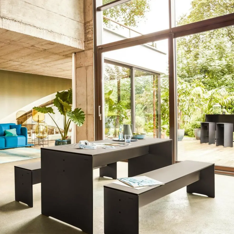 Riva Tisch