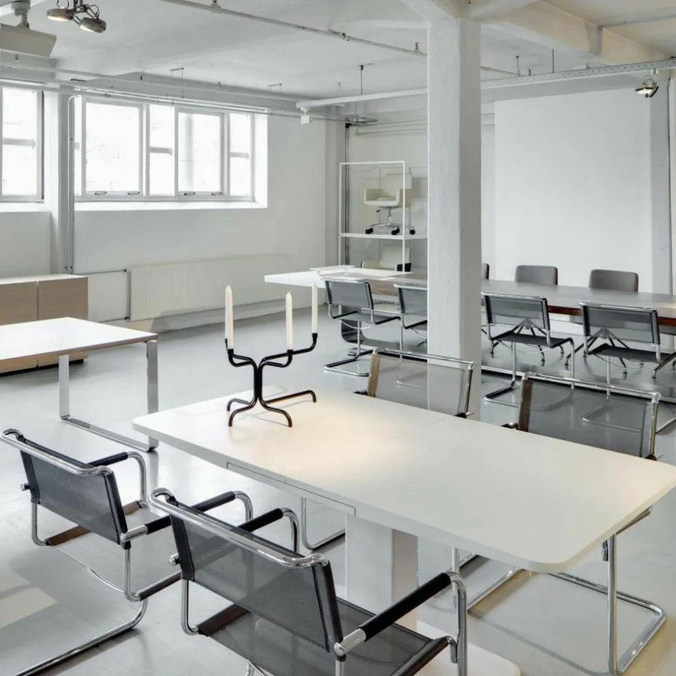 S 33 N Freischwinger Stuhl