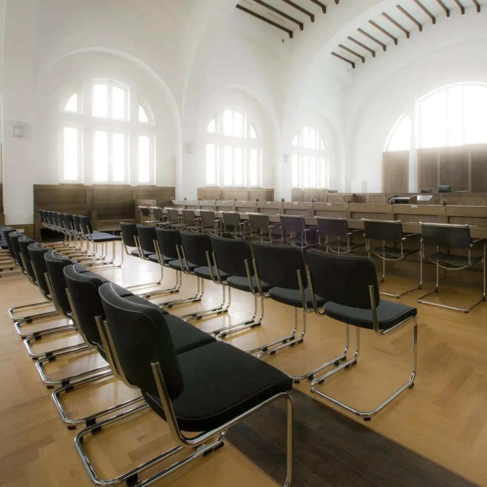 S 32 PV Pure Materials Freischwinger Stuhl Leder