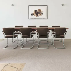 S 64 PV Pure Materials Freischwinger Armlehnstuhl Nussbaum