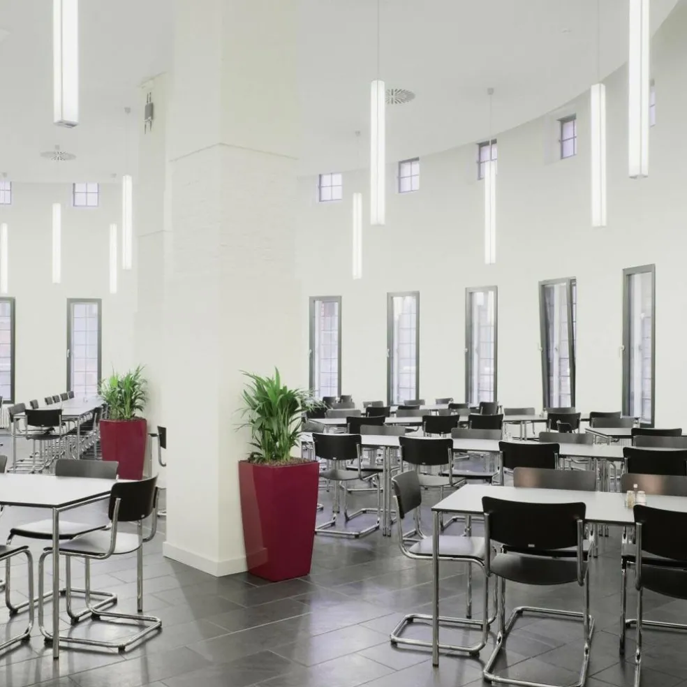 S 43 ST Freischwinger Stuhl