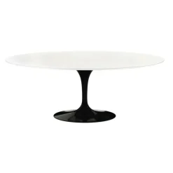 Saarinen Gartentisch Oval 198cm