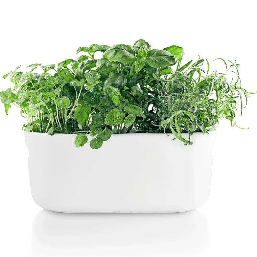 Selbstbewässernder Kräuterbehälter